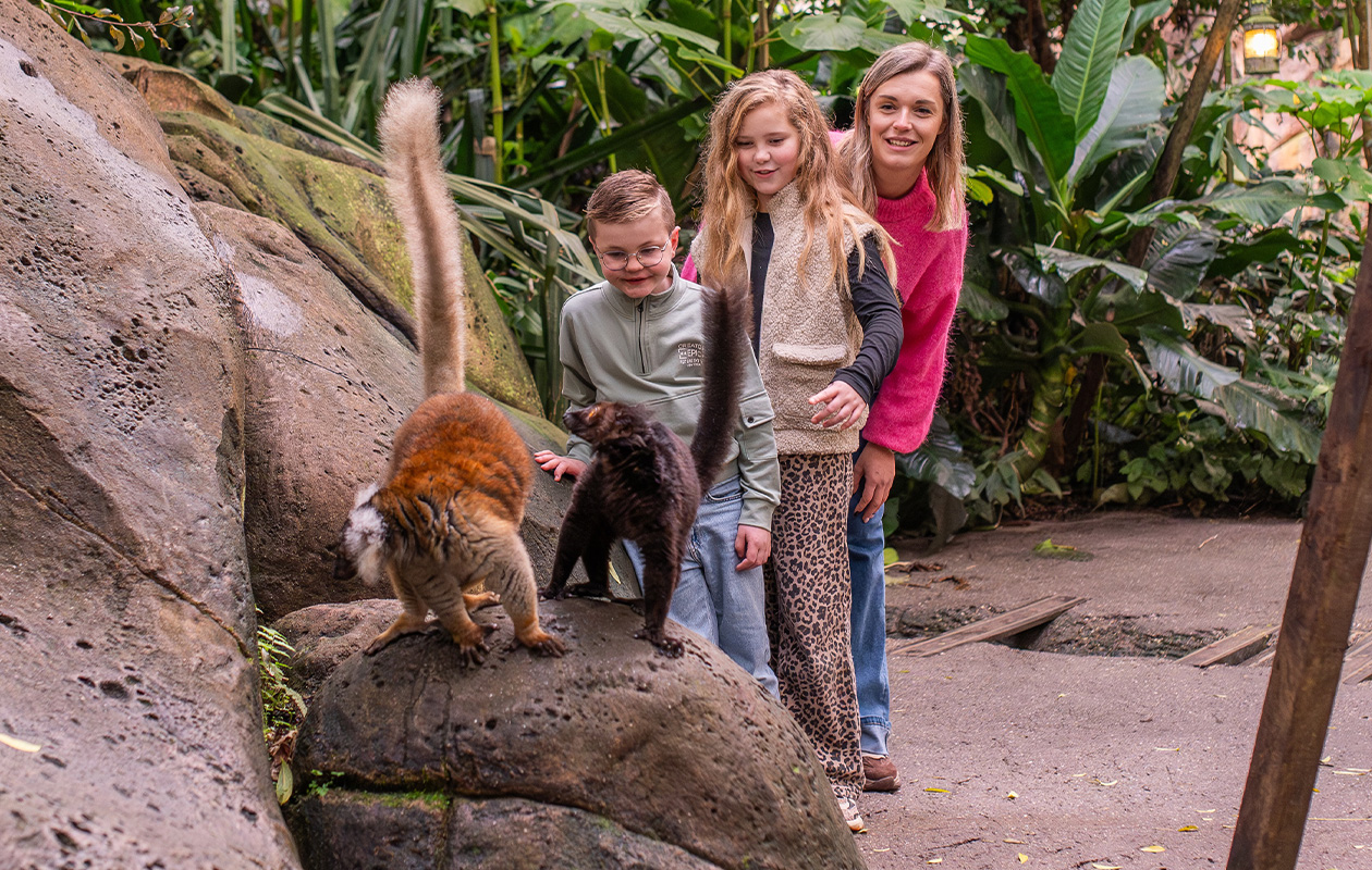 Entreeticket WILDLANDS Adventure Zoo
