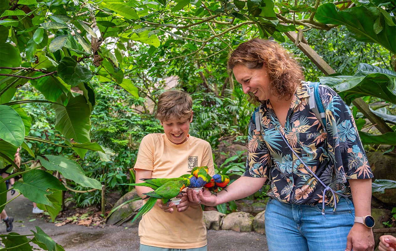 Entreeticket WILDLANDS Adventure Zoo