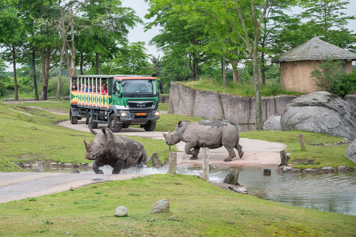 Entreeticket WILDLANDS Adventure Zoo