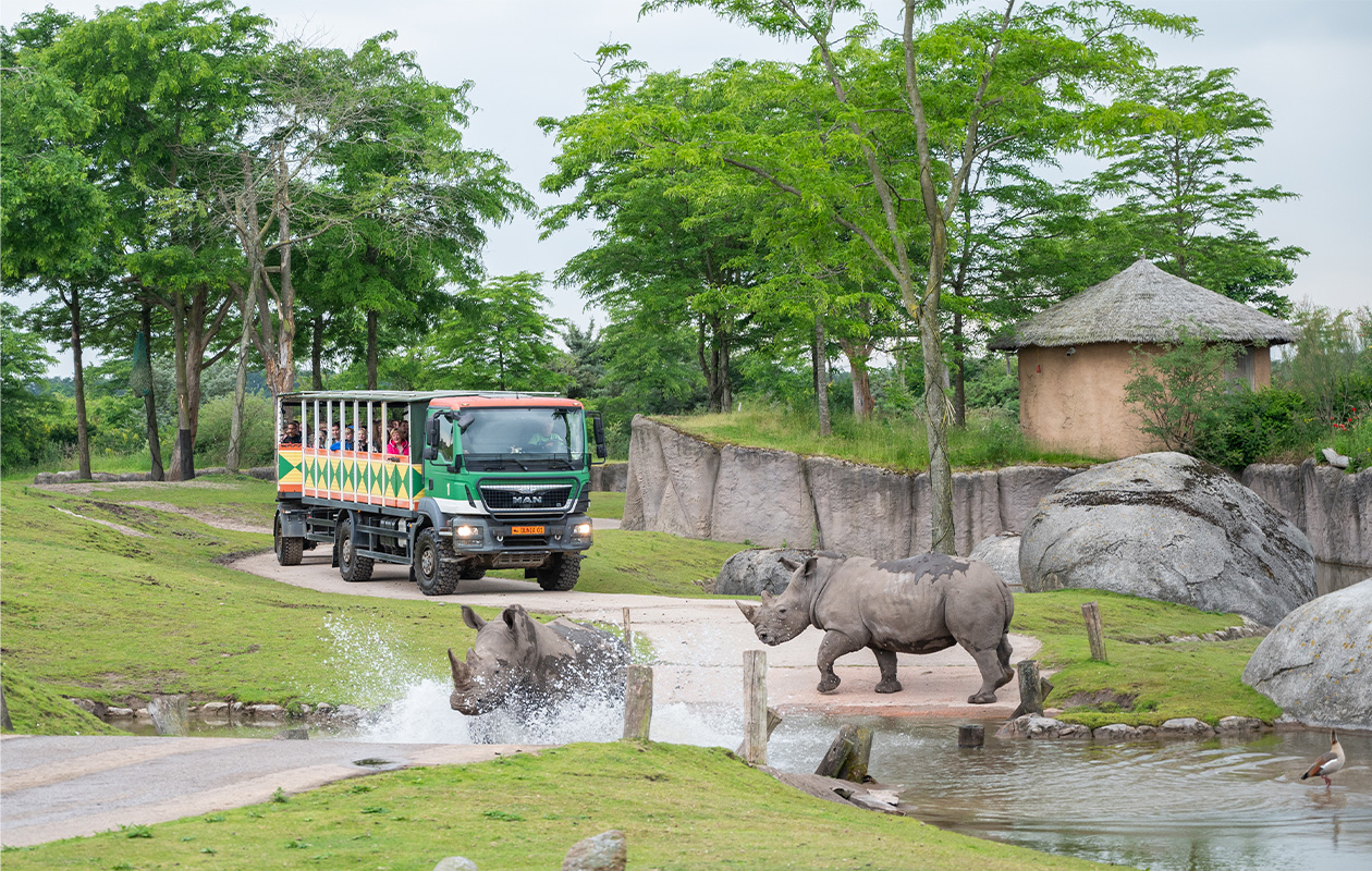 Entreeticket WILDLANDS Adventure Zoo