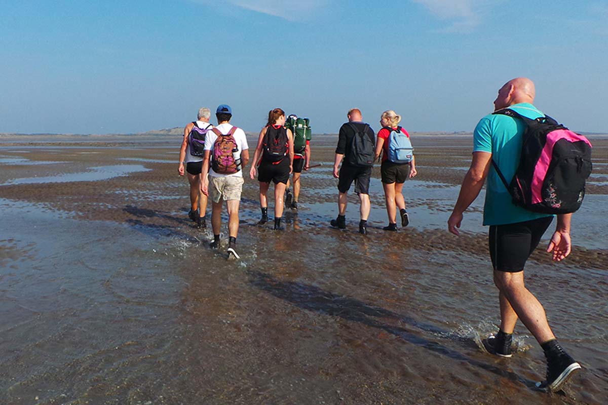 Zomer wadlopen (2,5 uur) + koffie of thee met gebak