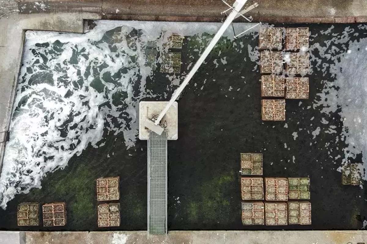 Wandeltour Yerseke + proeverij + oestermes of Zeeuwse zoutmolen 