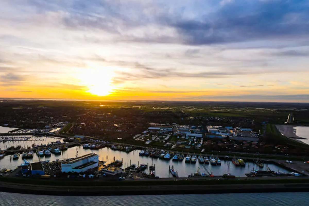 Wandeltour Yerseke + proeverij + oestermes of Zeeuwse zoutmolen 