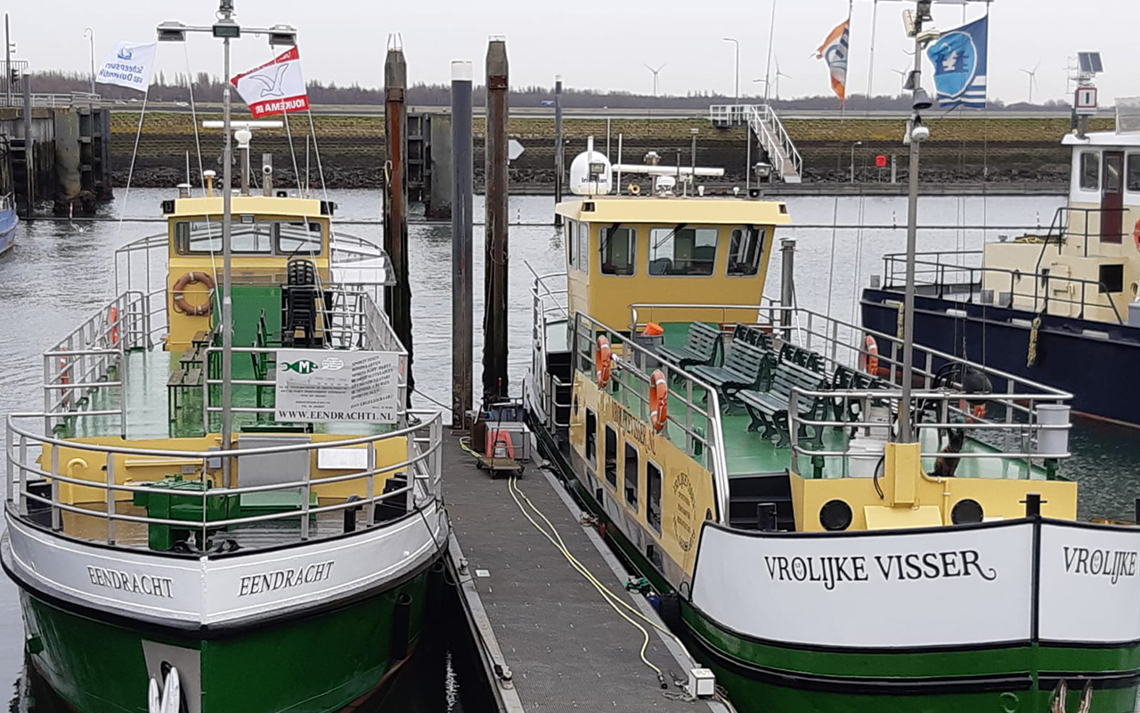 Zeehondensafari bij De Vrolijke Visser