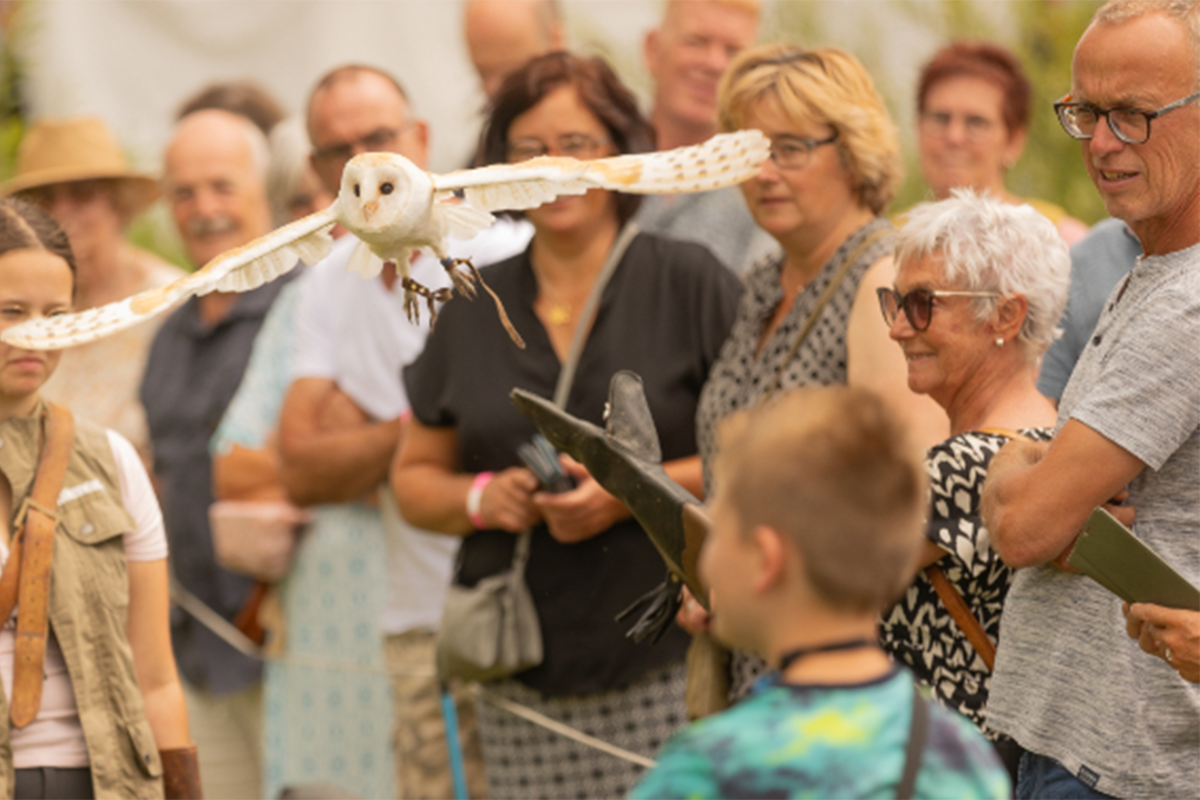 Entreeticket Zomer Heerlijckheid bij Kasteel Warmelo