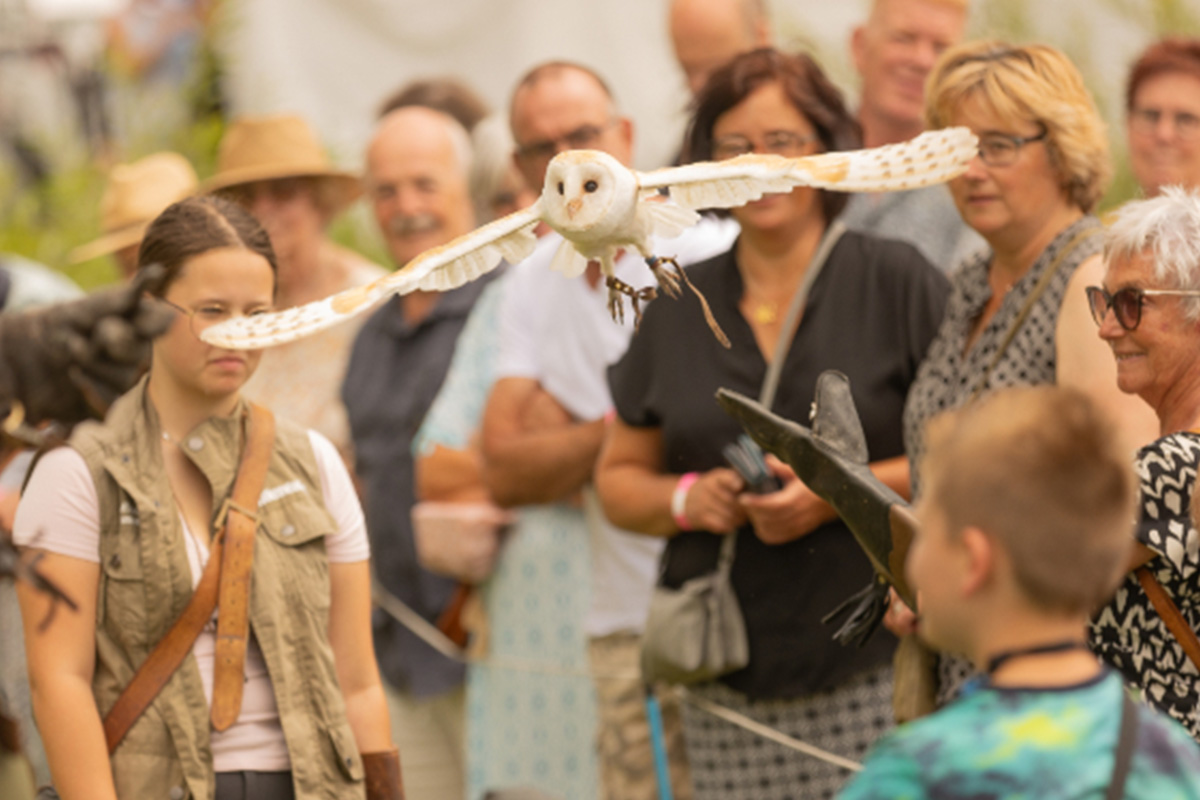 Entreeticket Zomer Heerlijckheid bij Kasteel Warmelo