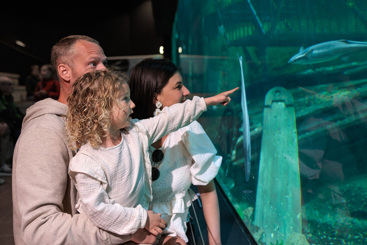 All-In zomerticket Deltapark Neeltje Jans