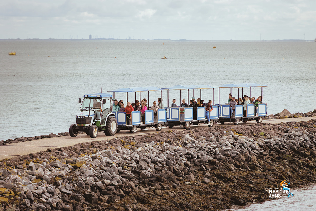 All-In zomerticket Deltapark Neeltje Jans