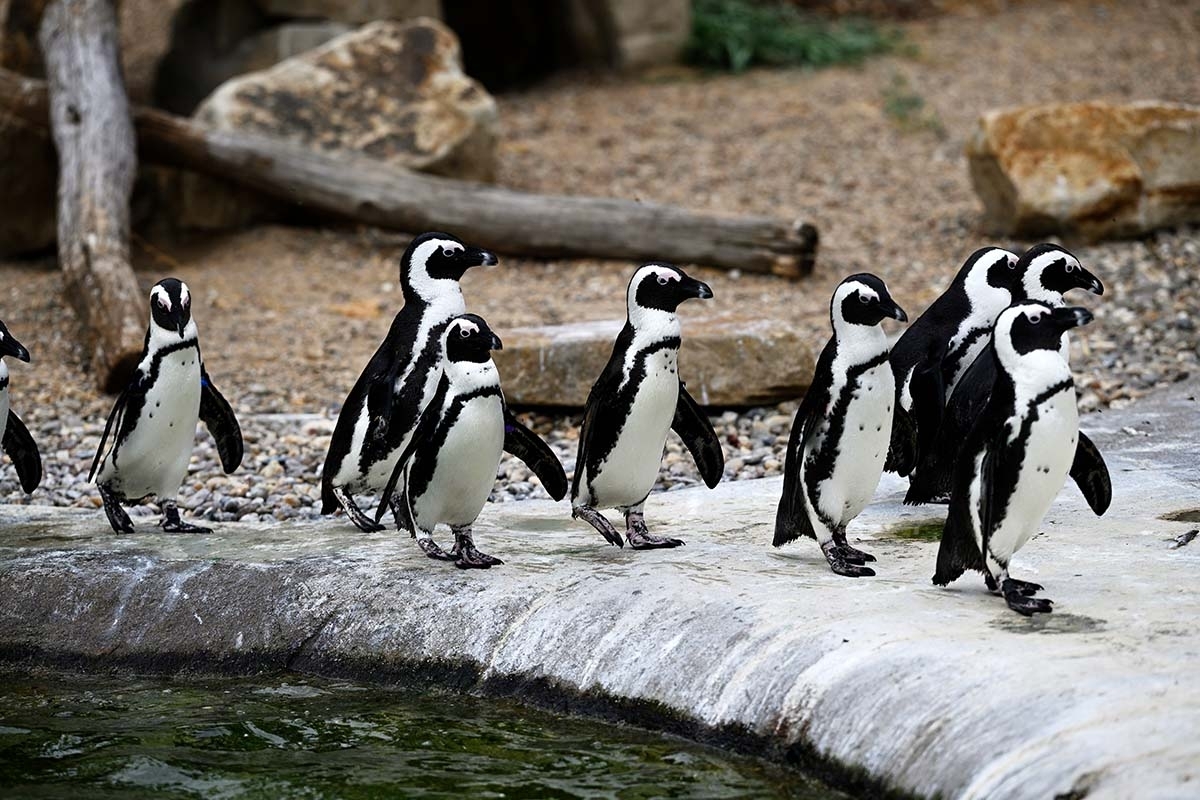 Entreeticket ZOOM Erlebniswelt