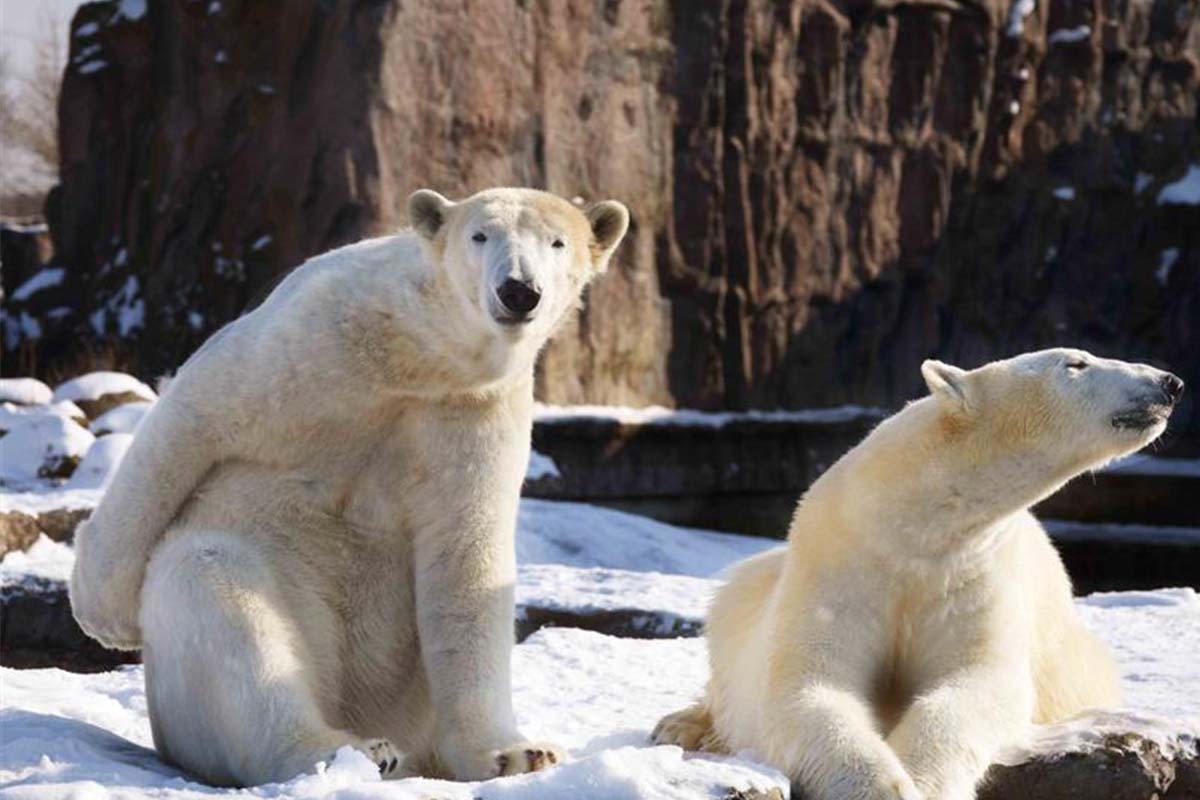 Entreeticket ZOOM Erlebniswelt