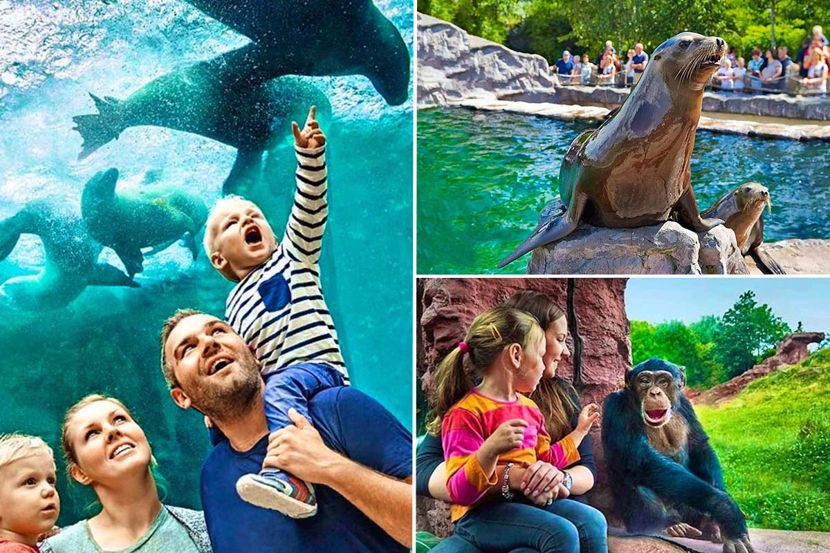 Entreeticket ZOOM Erlebniswelt