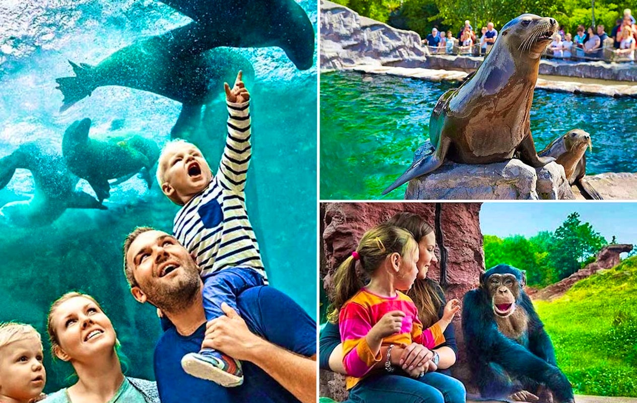 Entreeticket ZOOM Erlebniswelt