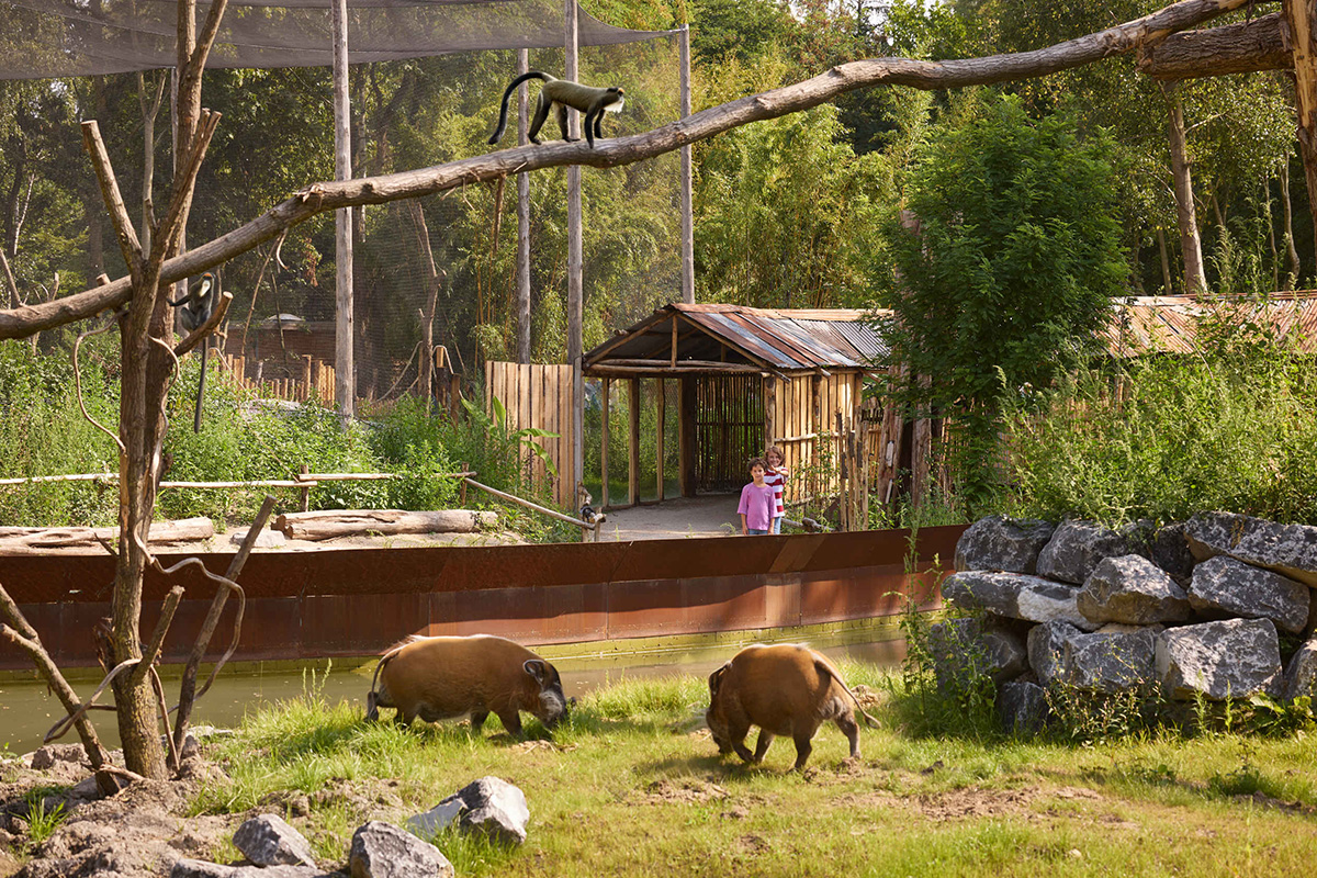 Entreeticket ZooParc Overloon