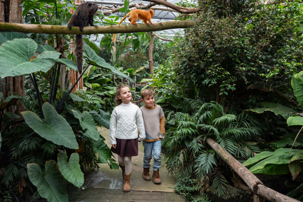 Entreeticket ZooParc Overloon
