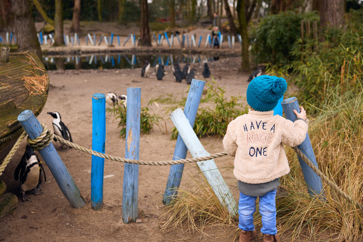 Entreeticket ZooParc Overloon