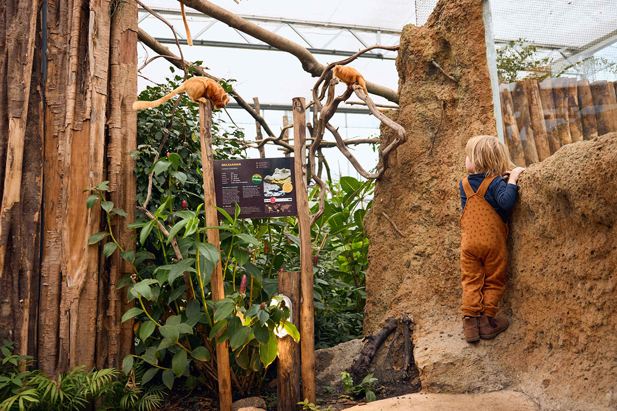 Entreeticket ZooParc Overloon