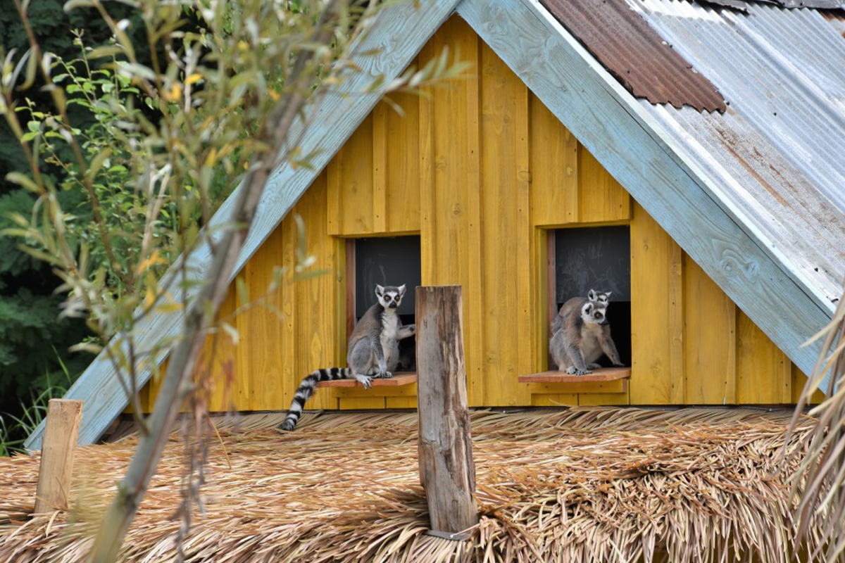 Entreeticket ZooParc Overloon